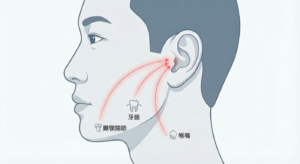 牽涉性耳痛路徑圖，亞洲人臉部輪廓，展示牙痛、扁桃腺炎或顳顎關節痛如何放射至耳部造成疼痛。