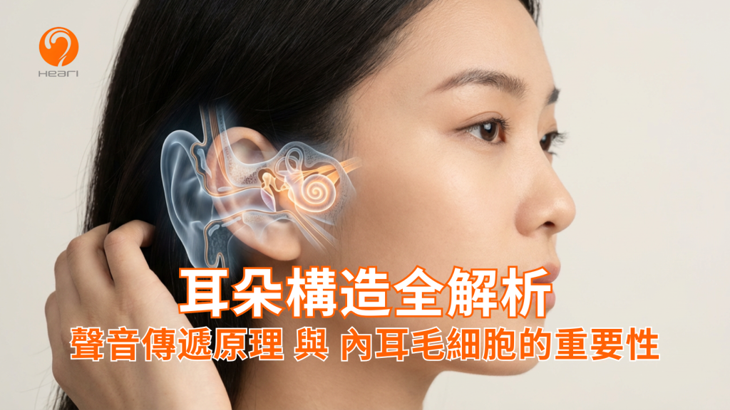 一位亞洲女性的側面特寫，耳朵部位疊加了半透明的3D醫學解剖圖，清晰展示了外耳道、中耳聽小骨及發光的內耳耳蝸構造，配上標題「耳朵由哪三個部分組成」。Heari 傾耳聽 香港聽力中心 | 立即登記免費聽力測試