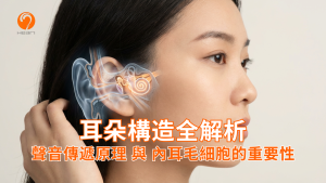 一位亞洲女性的側面特寫，耳朵部位疊加了半透明的3D醫學解剖圖，清晰展示了外耳道、中耳聽小骨及發光的內耳耳蝸構造，配上標題「耳朵由哪三個部分組成」。Heari 傾耳聽 香港聽力中心 | 立即登記免費聽力測試